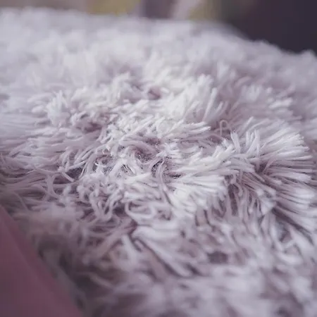 Family By Interlaken Parking 3*