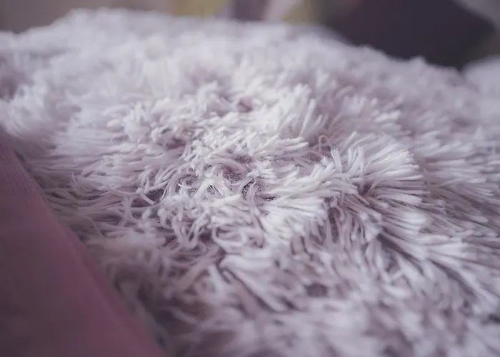 Family By Interlaken Parking 3*